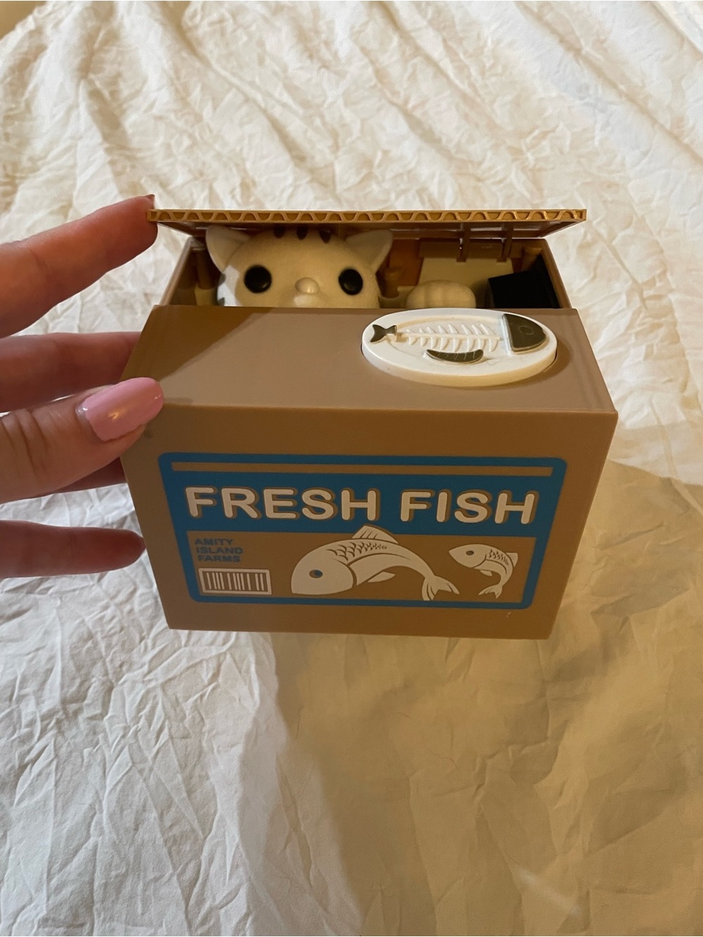 Stealing Cat Piggy Bank - Fresh Fish Brown Cardboard Box Style